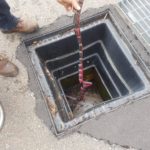 Objects we find in drains