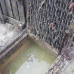 Blocked stormwater pit