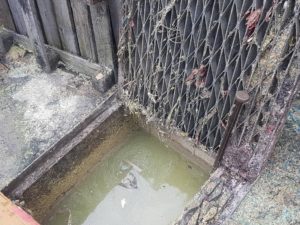 Blocked stormwater pit